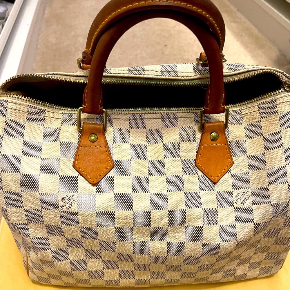 Louis Vuitton Speedy Bag Damier